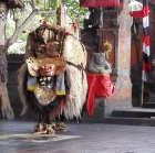 Bali Cultural Dancers